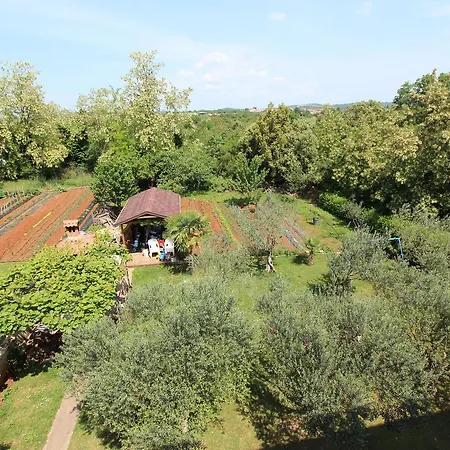 Guest house Guest House Ambienti 3*