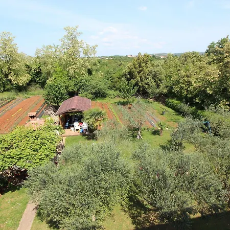 Petra Maison d'hôtes 3*