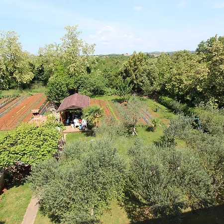 Maison d'hôtes Petra 3*